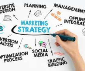 The Marketing Division