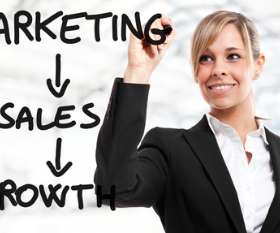 The Marketing Division