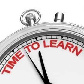 The Marketing Division