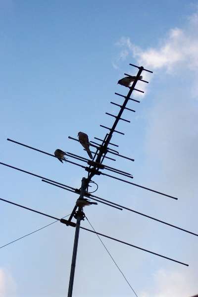 How to Get Better Reception Through Your Television Antennas