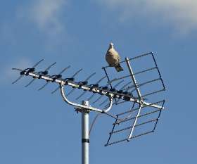 AntennaPros