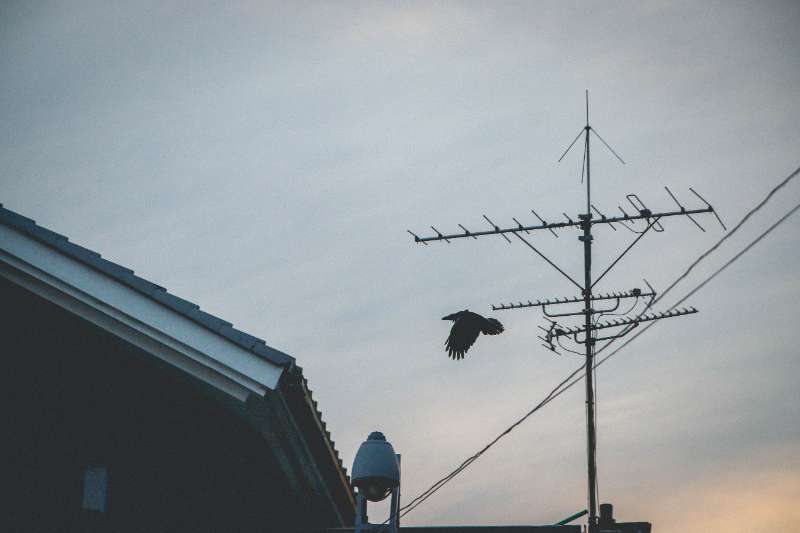 Save Money On TV Antenna Installation By Hiring A TV Antenna Specialist