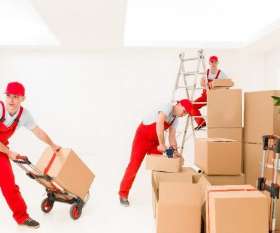 Six Brothers Removalist