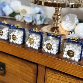 Noah's Ark Australia