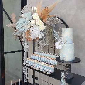 Noah's Ark Australia