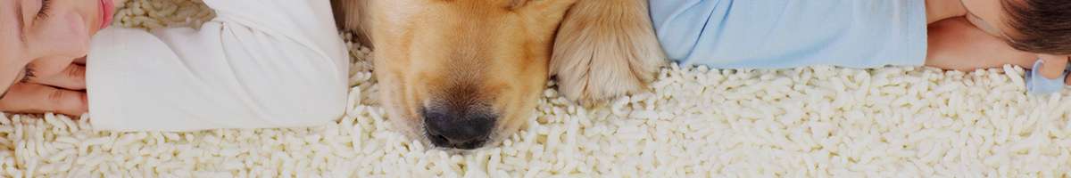 Assurance Property Management Banner