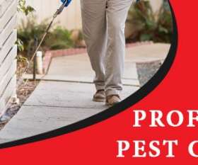Fast Pest Control Brisbane