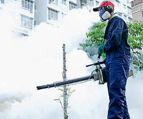 Fast Pest Control Brisbane