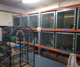 Padstow Pet Centre