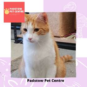 Padstow Pet Centre