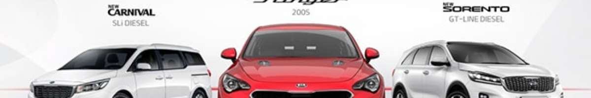 Rockdale City Kia Banner