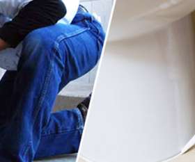 Pest Control Services Sydney - Worldwide Services
