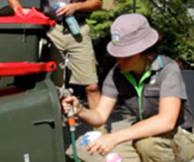 Pest Control Services Sydney - Worldwide Services