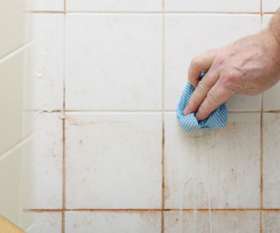 Pest Control Services Sydney - Worldwide Services