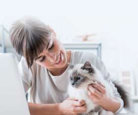 AeroPets Animal Transport
