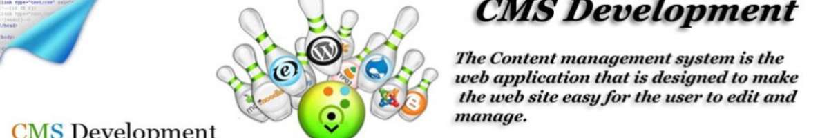 prism intelligent solutions Banner