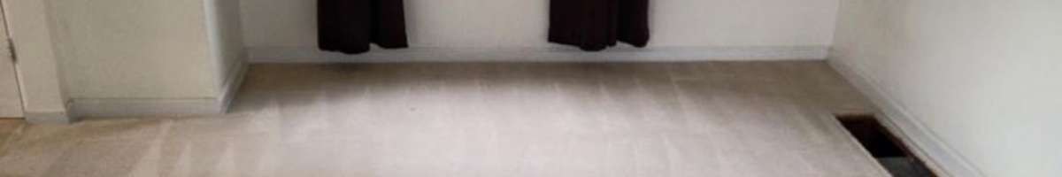 Peters Carpet Cleaning Brisbane Banner