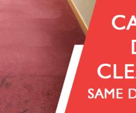 Mark's Carpet Cleaning Adelaide