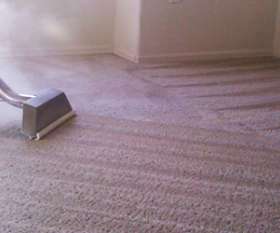 Mark's Carpet Cleaning Adelaide