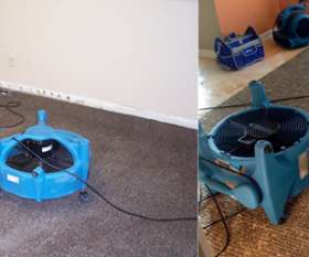 Mark's Carpet Cleaning Adelaide