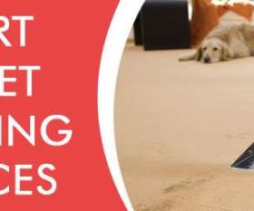 Back 2 New - Carpet Cleaning Werribee