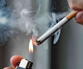 King of the Pack Marrickville