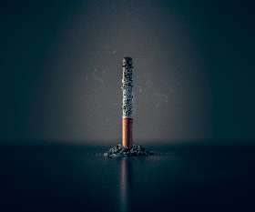 King of the Pack Marrickville