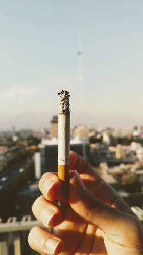 King of the Pack Marrickville