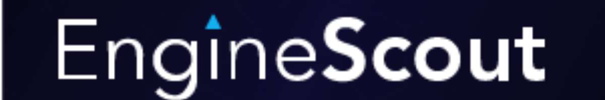 Engine Scout Digital Marketing Banner