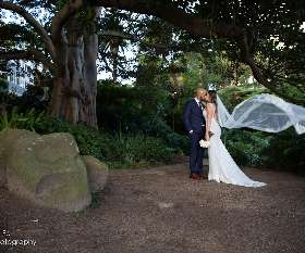Wedding in sydney Park - fuss Photography