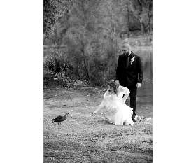 Lake Wedding Sydney - Fuss Photography