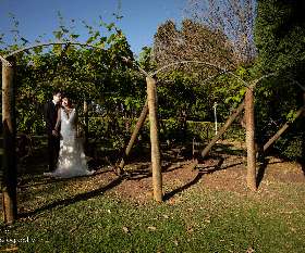 Christopher & Antoine's Wedding Location- Fuss Photography Sydney Cheap Wedding Photographer