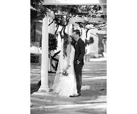 Christopher & Antoine's Wedding Location- Fuss Photography Sydney Cheap Wedding Photographer