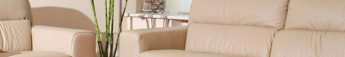 Marks Upholstery Cleaning - Upholstery Cleaning Adelaide Banner