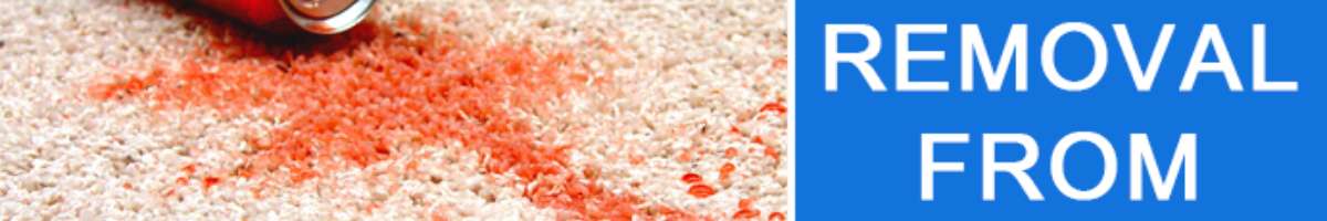 Squeaky Clean Rugs - Carpet Cleaning Melbourne Banner