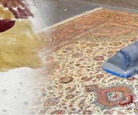 Squeaky Clean Rugs - Carpet Cleaning Melbourne
