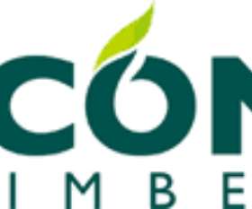 Icon Timber Floor