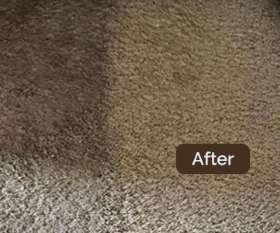 Best Carpet Cleaning in Sydney