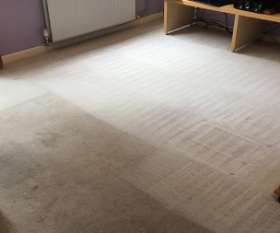 Best Carpet Cleaning in Sydney