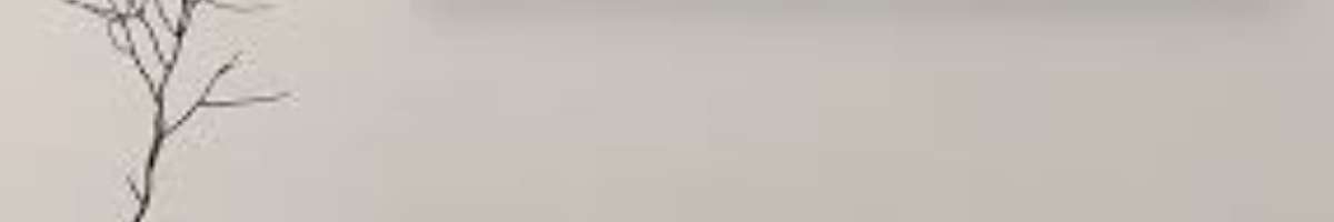 My Choice Plumbers - Split System Melbourne Banner