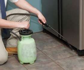 Emergency Pest Control Service Melbourne