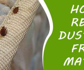 My Home Mattress Cleaner - Mattress Cleaning Perth