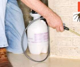 Marks Pest Control Brisbane