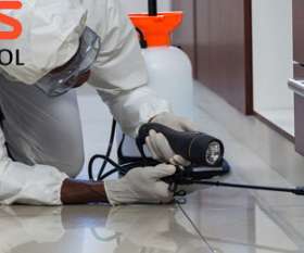 Marks Pest Control Brisbane