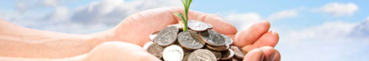 dozzi Financial Advice Banner