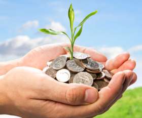 dozzi Financial Advice