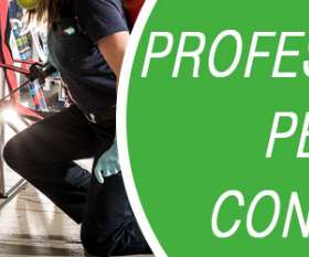 Marks Couch Cleaning Brisbane