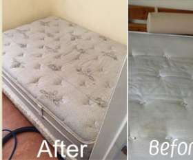 Sparkling Couch Cleaning Adelaide