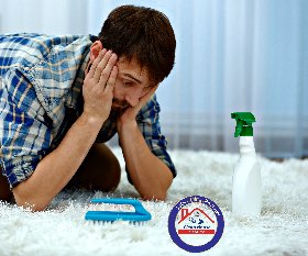 cleanhousemelbourne.com.au