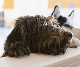 vetcarehawthorn@yopmail.com